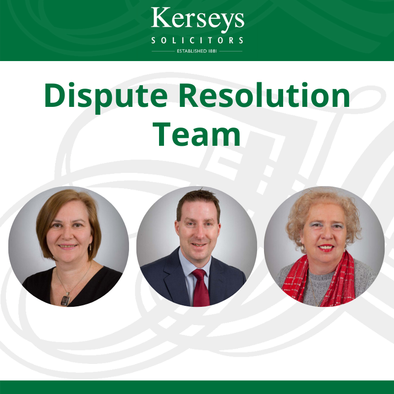 Dispute Resolution Team