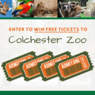 Enter Colchester Zoo Competition