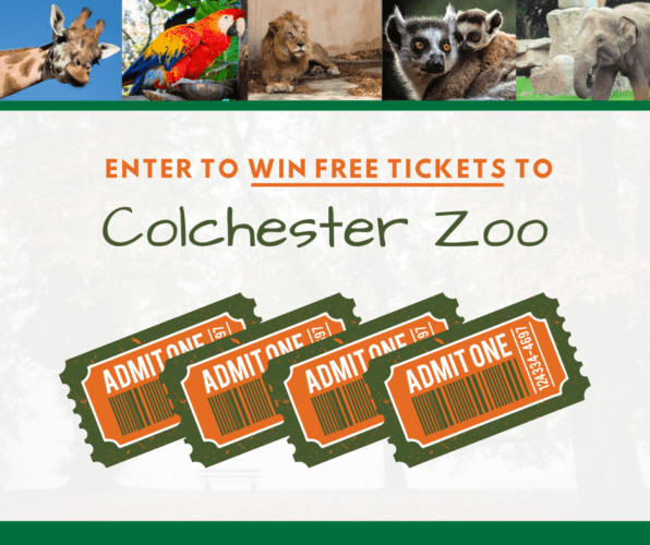 Enter Colchester Zoo Competition