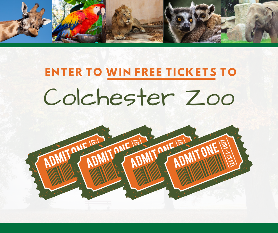 Enter Colchester Zoo Competition